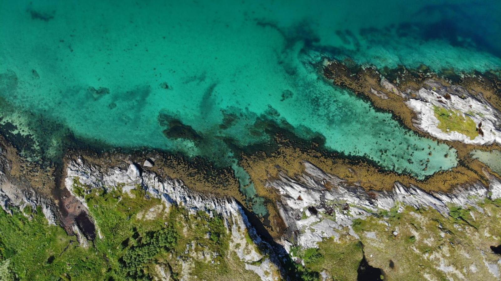 Sentralt I Lofoten *